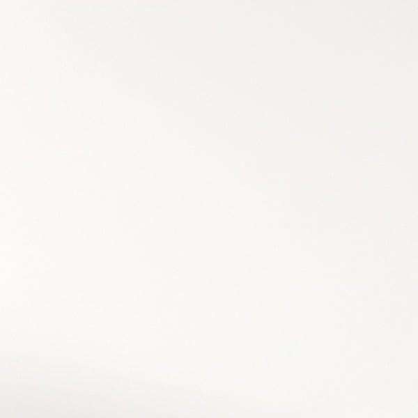 White Ceramic Swatch